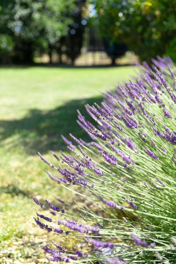 فيلا Mas Coeur De Provence Calme Luxe Grand Parc بيرنيه لو فونتينز المظهر الخارجي الصورة