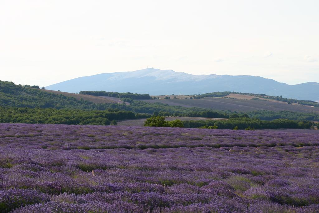 فيلا Mas Coeur De Provence Calme Luxe Grand Parc بيرنيه لو فونتينز الغرفة الصورة